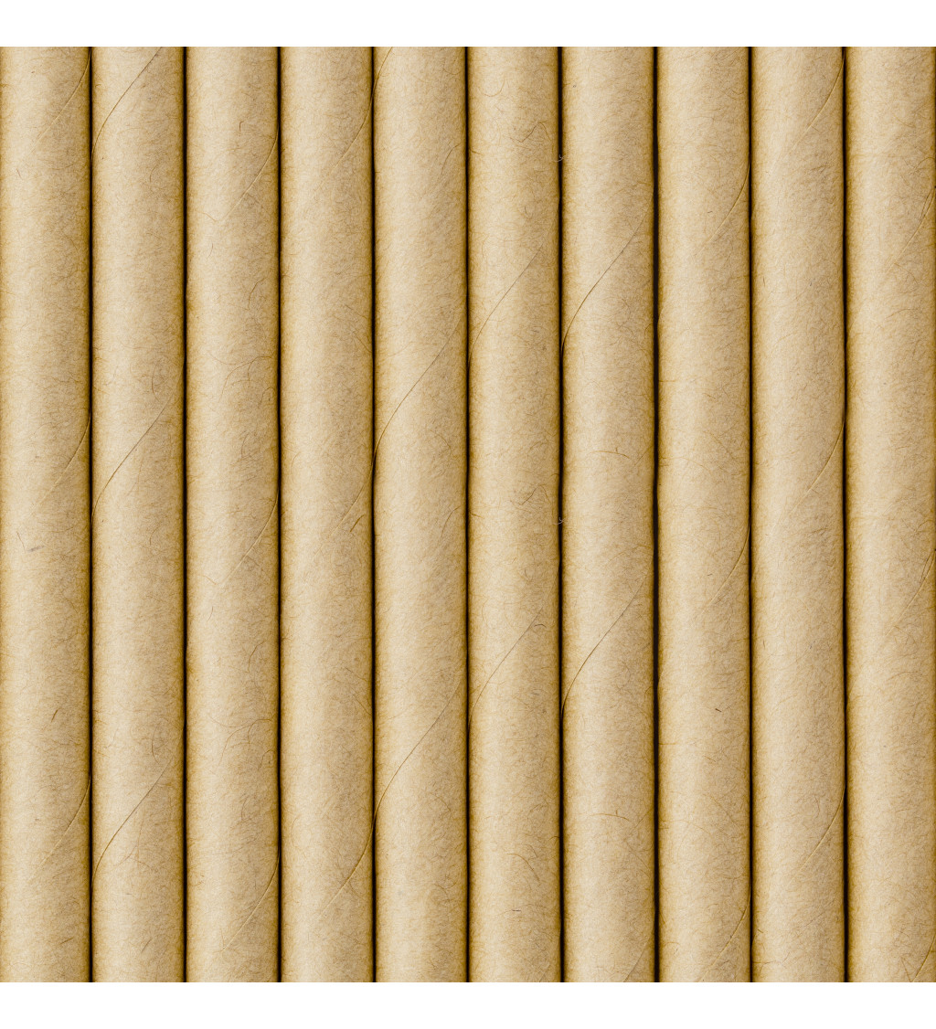 Papírová brčka