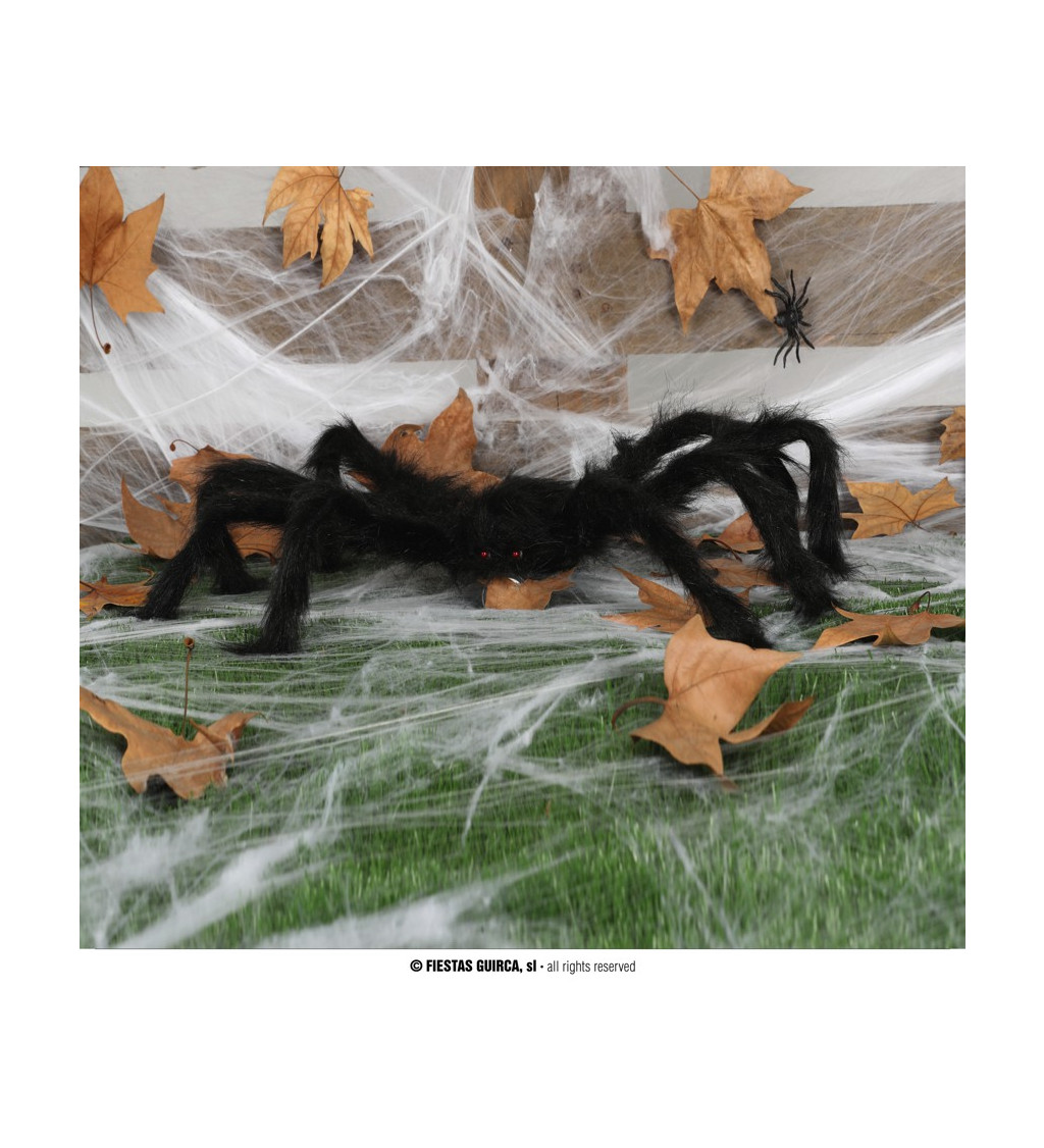 Pavouk černý 70 cm