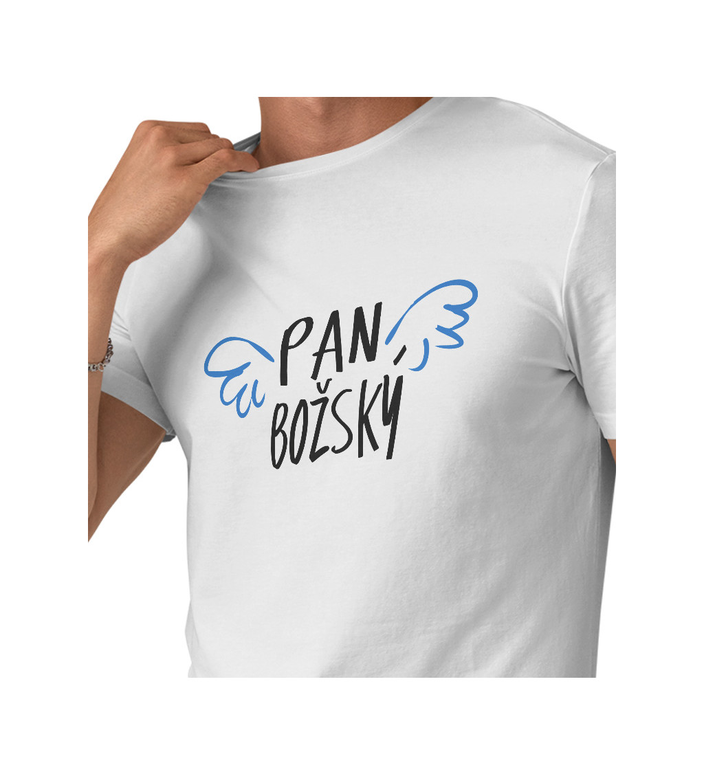 Pánské triko - Pan božský, křídla