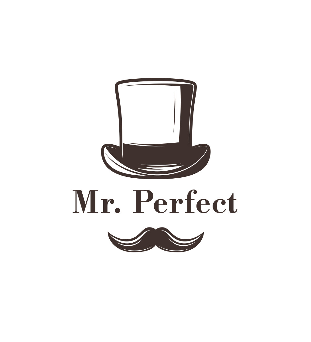 Pánské triko - Mr. Perfect
