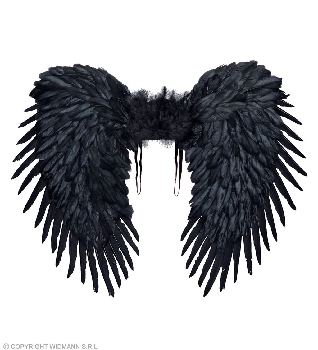 Černá opeřená křídla