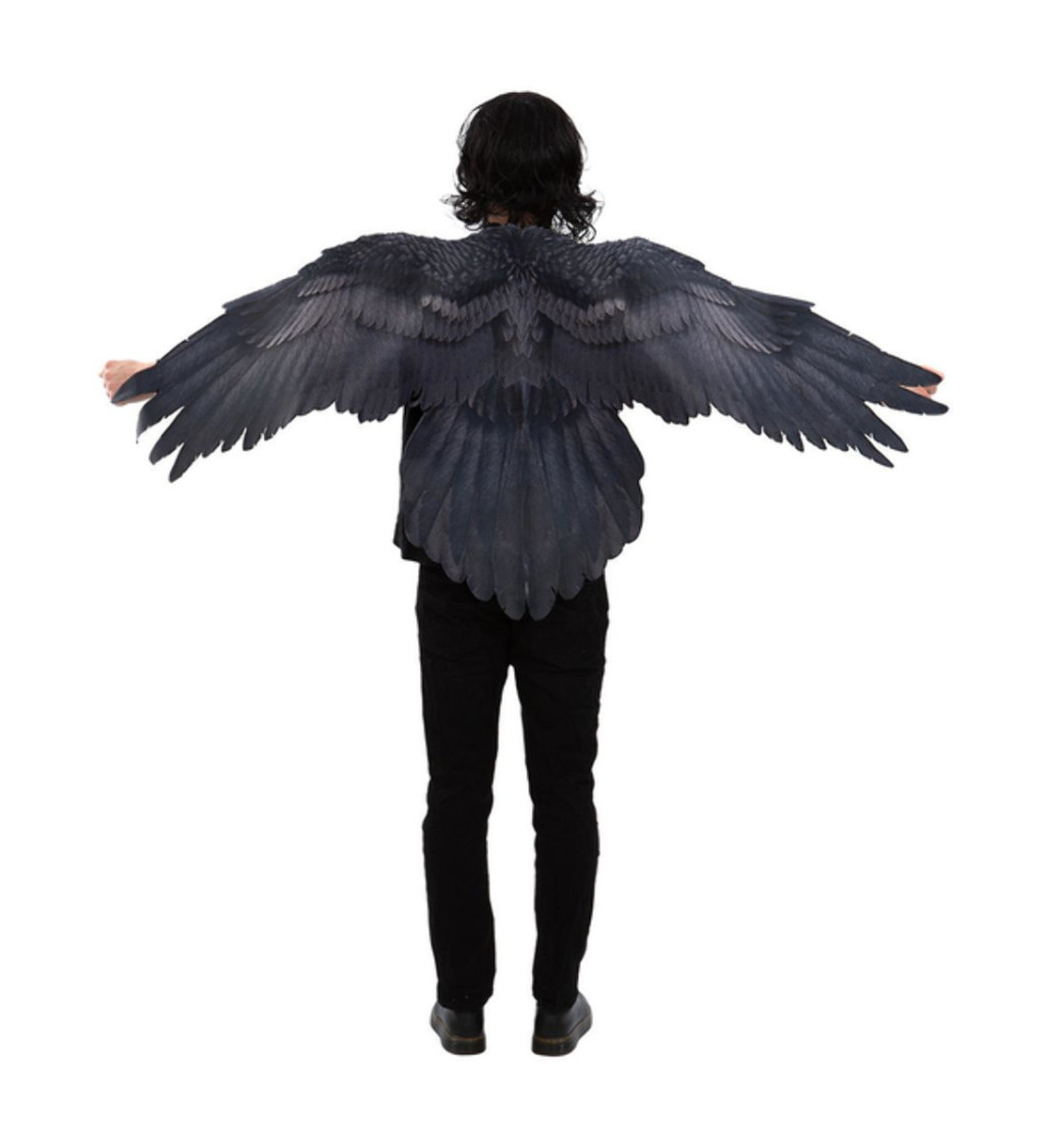 Plášť s křídly