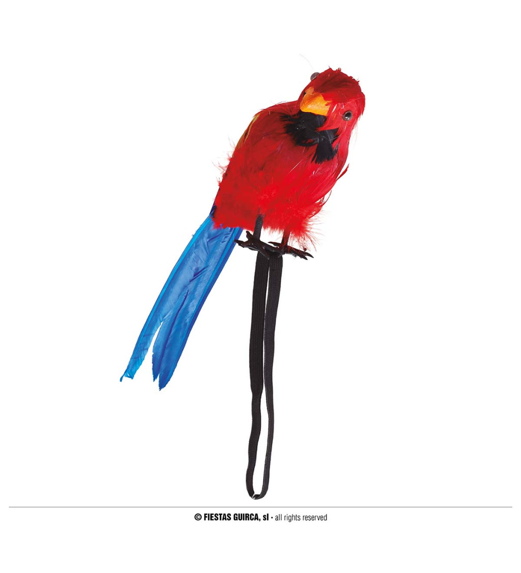 Pirátský papoušek na rameno