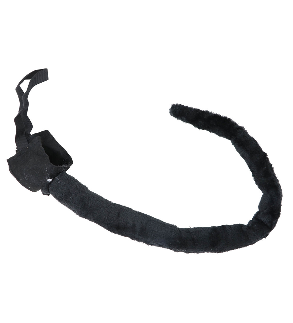 Černý kočičí ocas