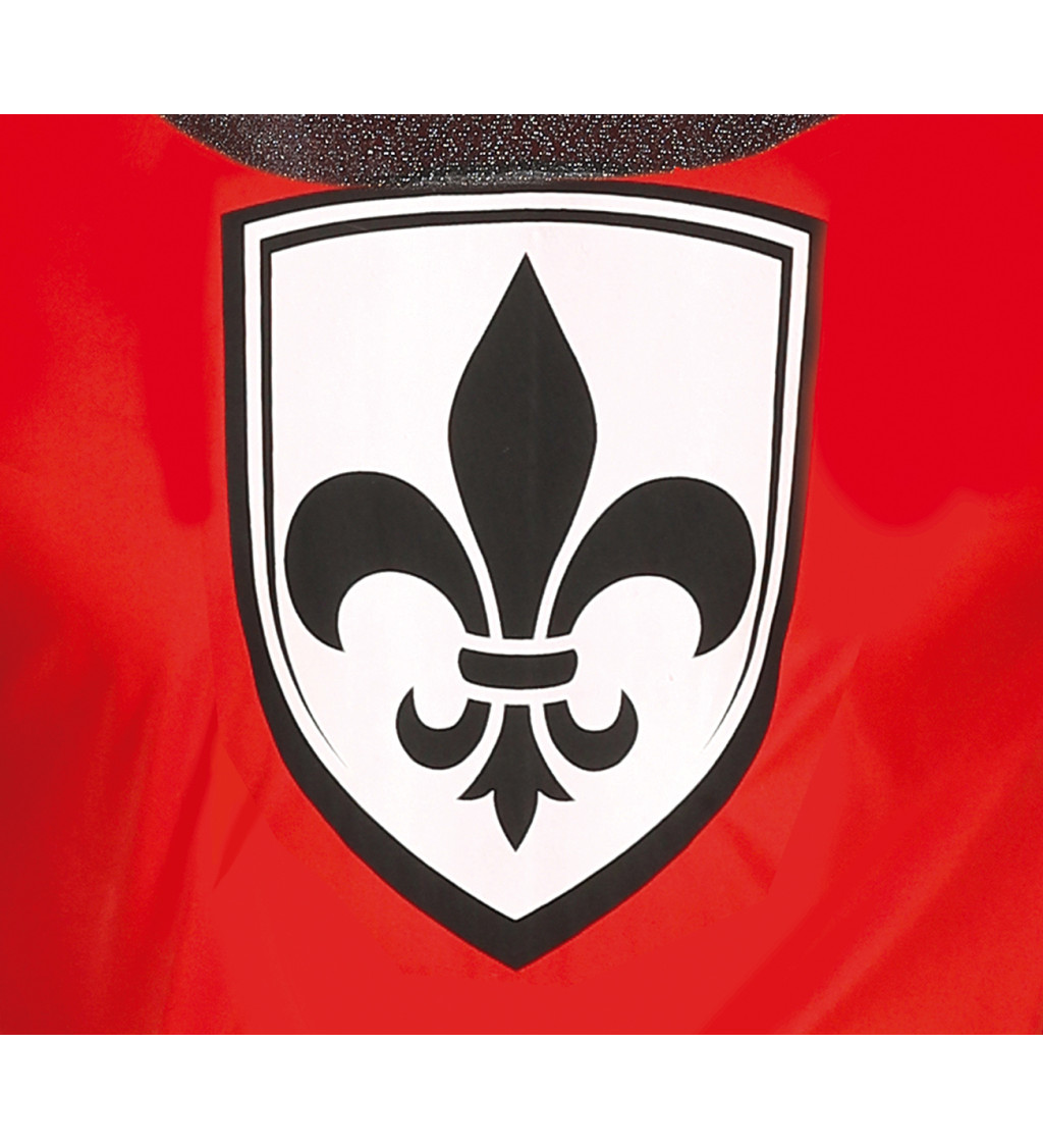 Pánský kostým historického rytíře