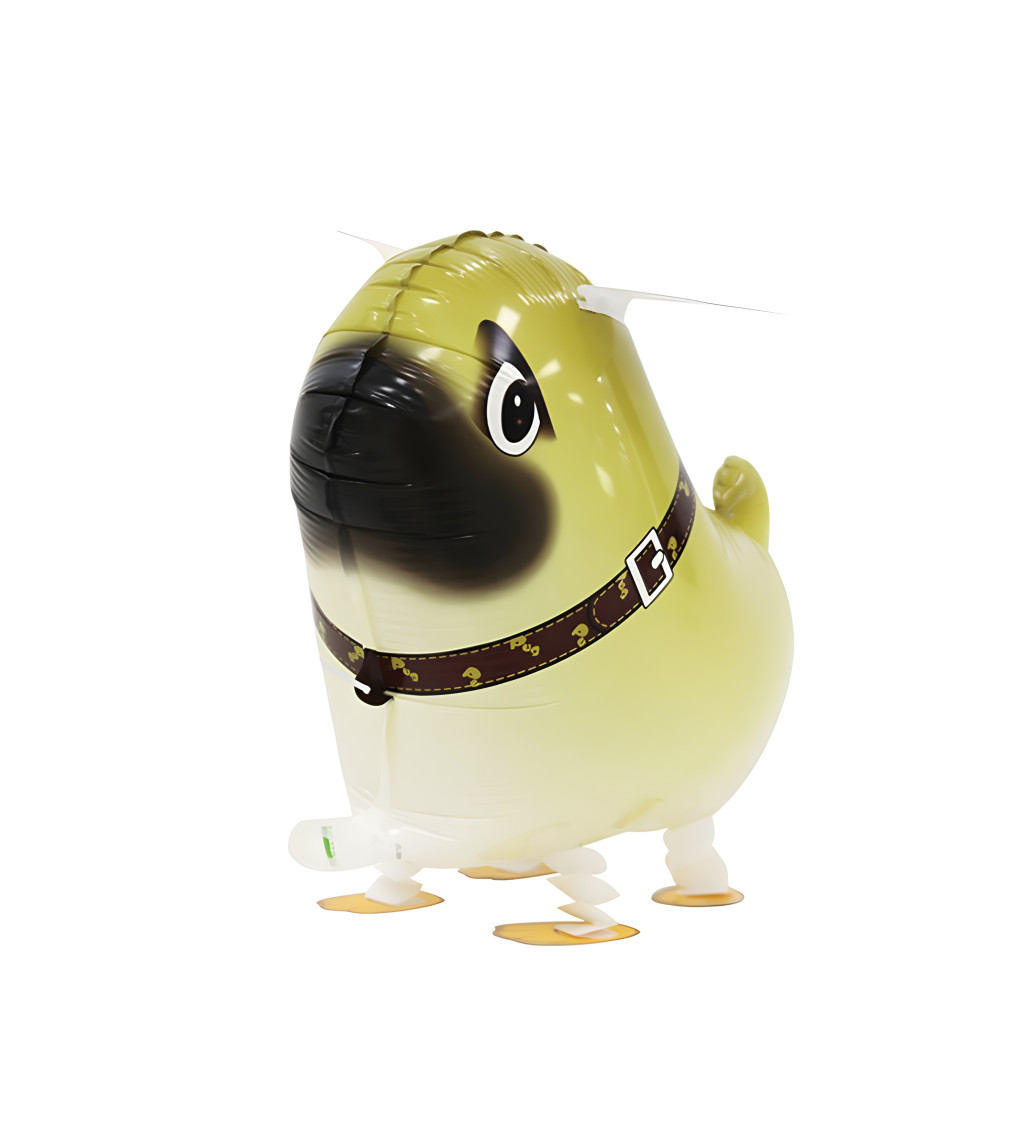 Chodící balónek – mops