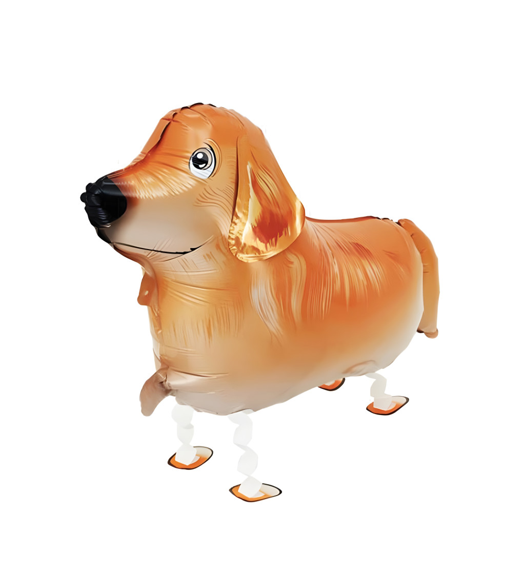 Chodící balónek – zlatý retrívr