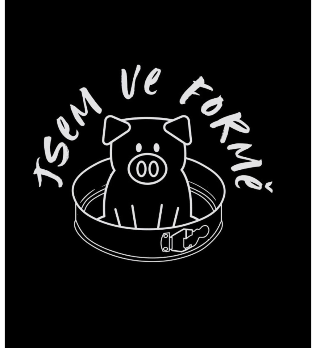 Pánské tričko černé Jsem ve formě S