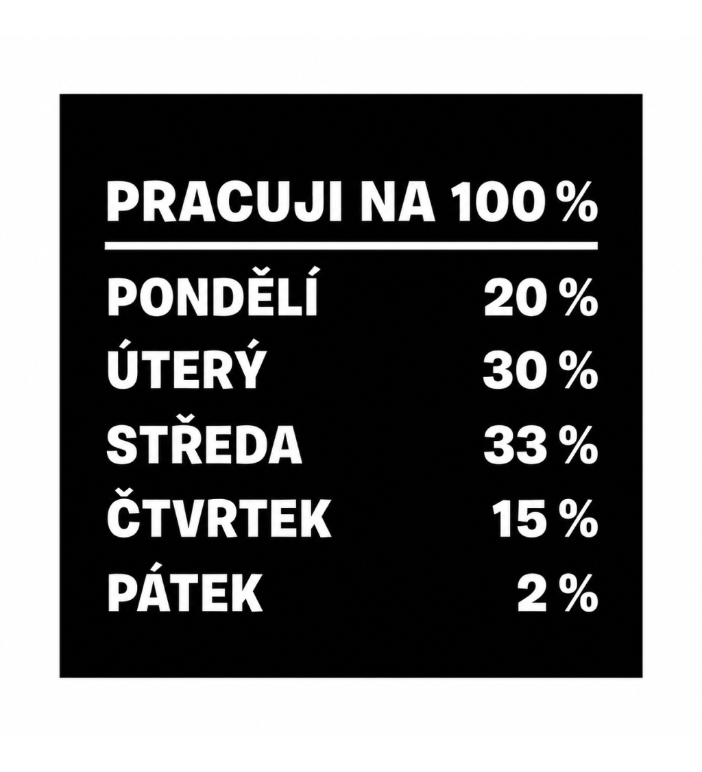 Dámské triko - Pracuji na 100%