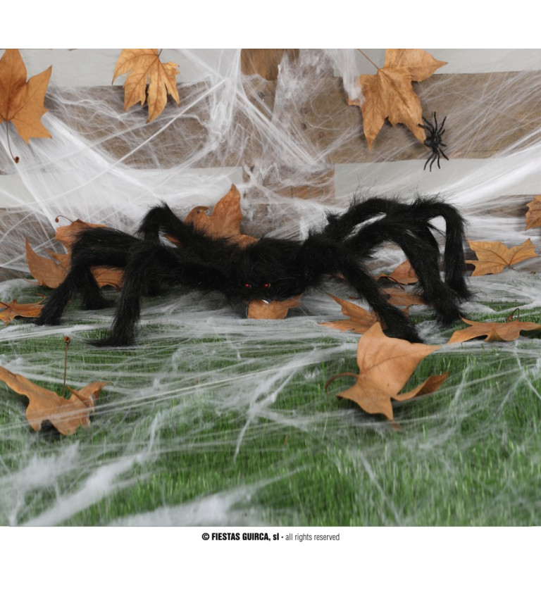 Pavouk černý 70 cm