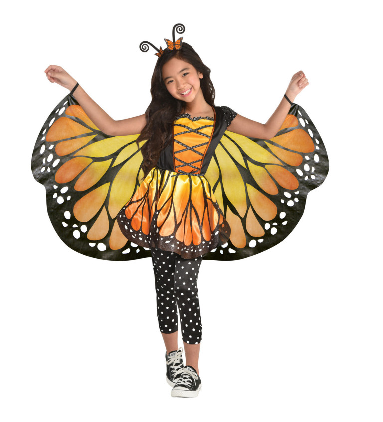 Motýlek dětský kostým