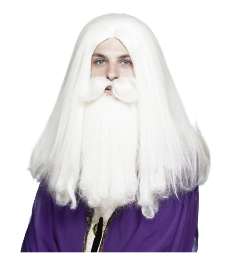 Pánská paruka Čarodějský styl
